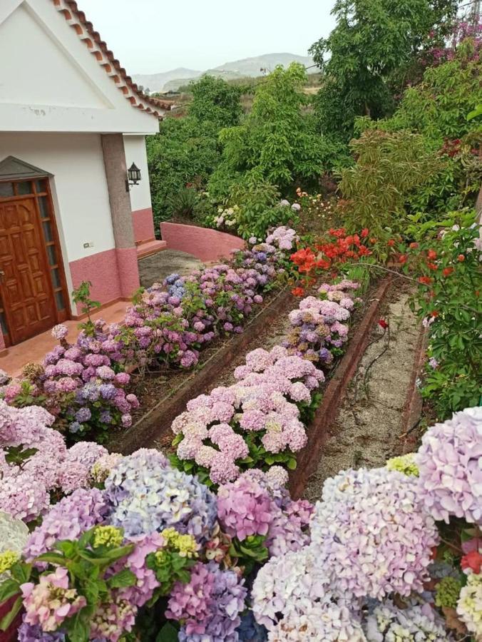 Mar De Flores 베가데산마테오 외부 사진