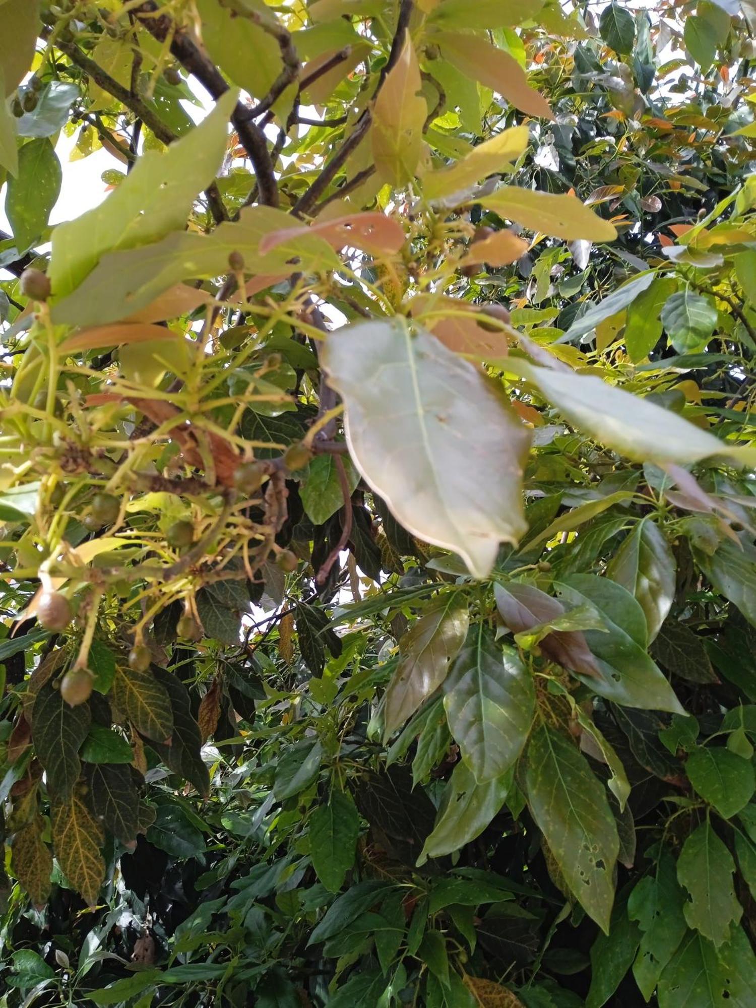 Mar De Flores 베가데산마테오 외부 사진