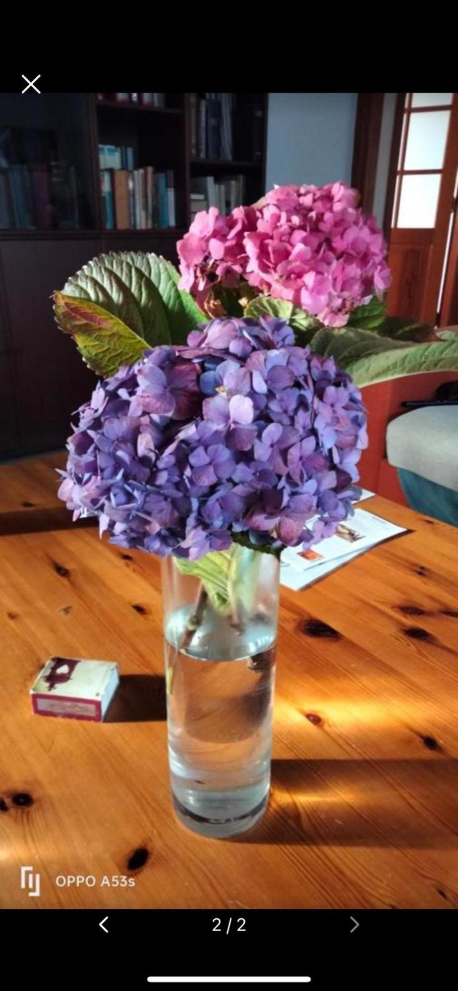 Mar De Flores 베가데산마테오 외부 사진